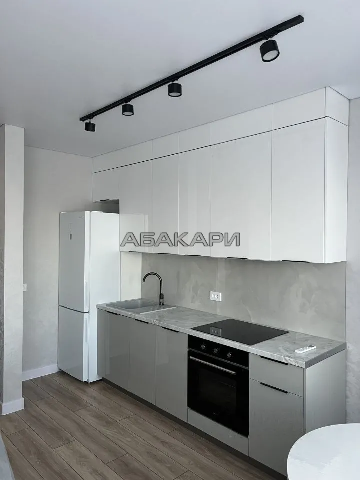 2-комнатная улица Петра Подзолкова, 15Бк3  за 48000 руб/мес фото 1
