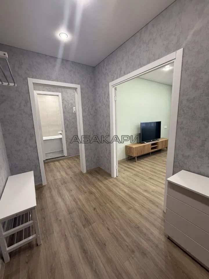 1-комнатная улица Дмитрия Мартынова, 41  за 40000 руб/мес фото 18