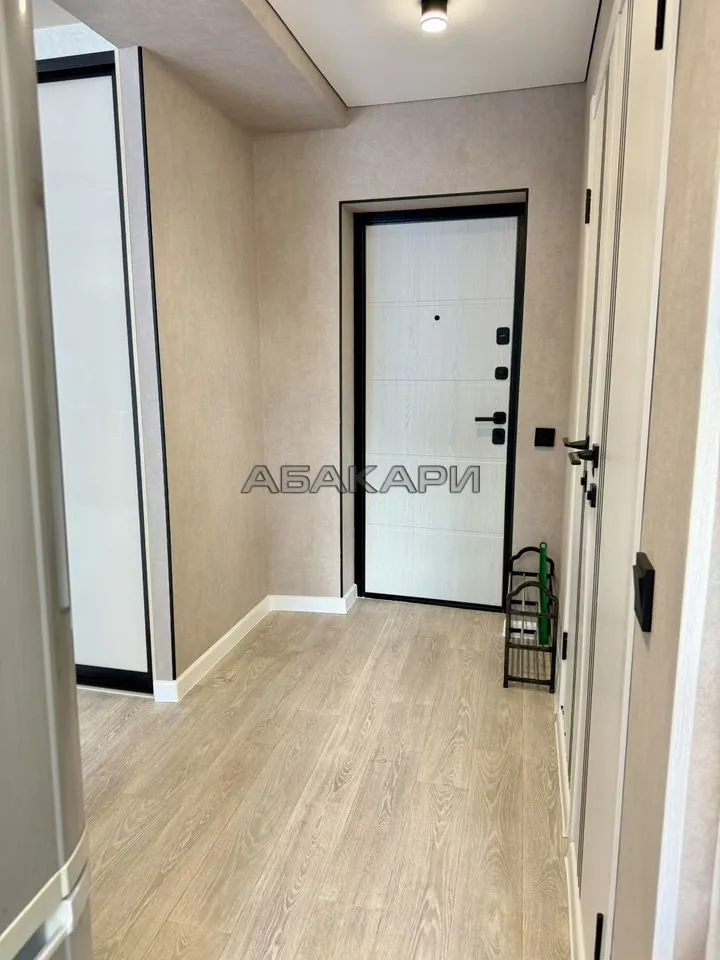 3-комнатная улица Академика Павлова, 48  за 43000 руб/мес фото 9