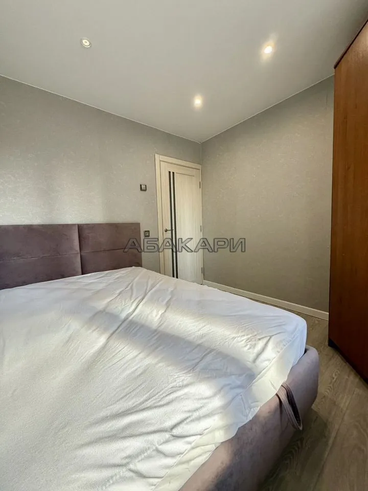 3-комнатная улица Академика Павлова, 48  за 43000 руб/мес фото 12