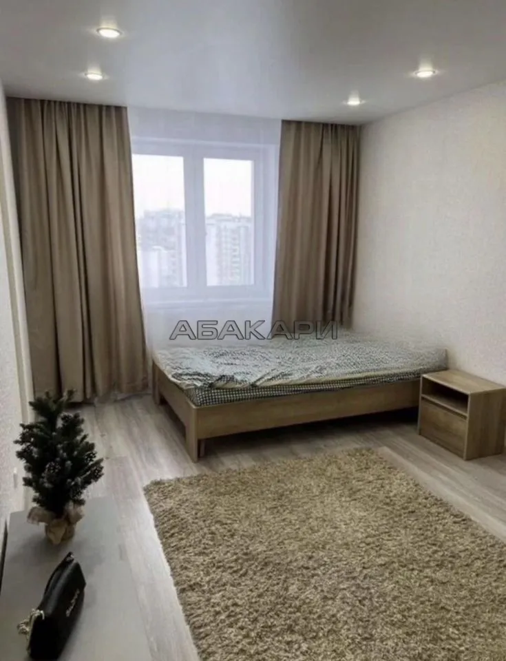 1-комнатная Соколовская улица, 70  за 37000 руб/мес фото 2