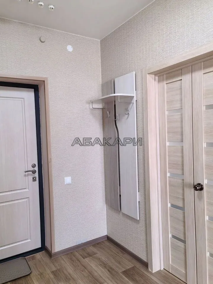1-комнатная улица Петра Подзолкова, 3И  за 32000 руб/мес фото 1