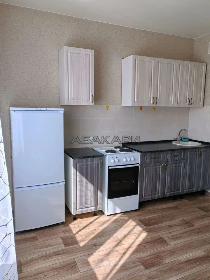 1-комнатная улица Петра Подзолкова, 3И  за 32000 руб/мес фото 2