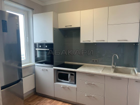 аренда Петра Подзолкова, 5А 2-комнатная 33000
