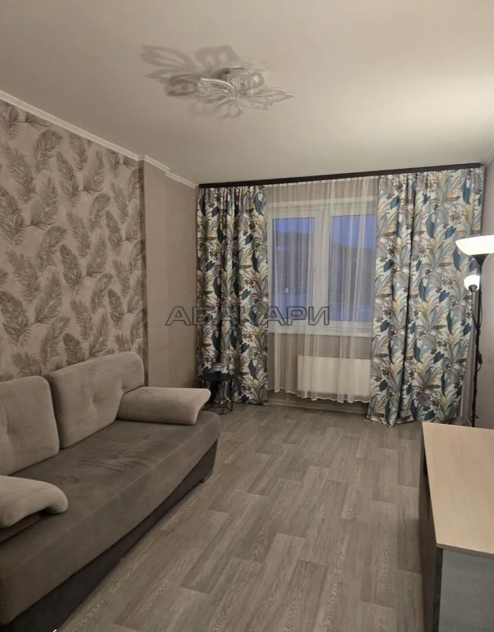 1-комнатная Соколовская улица, 74  за 30000 руб/мес фото 2