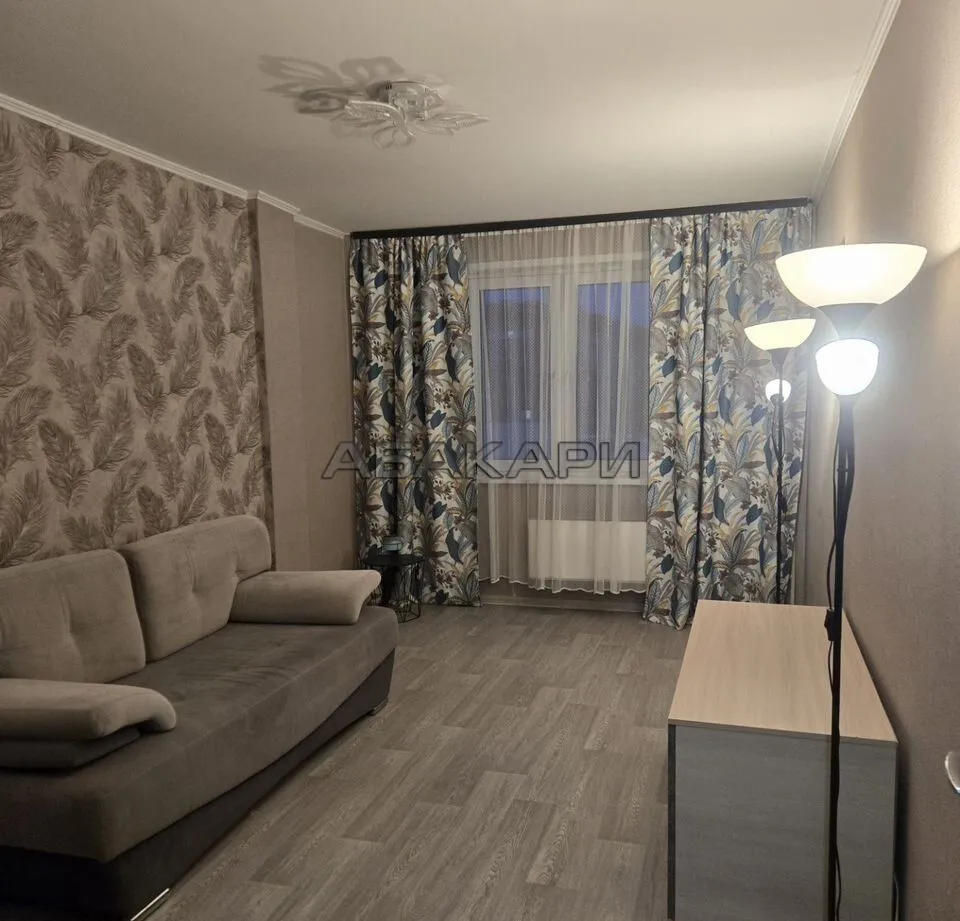 1-комнатная Соколовская улица, 74  за 30000 руб/мес фото 3