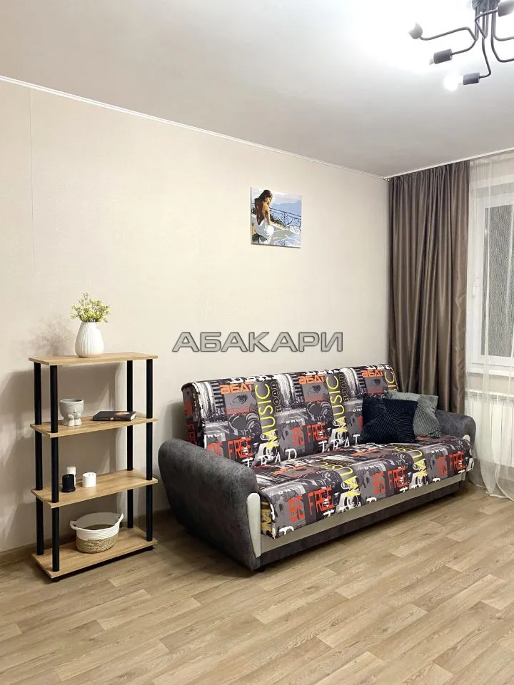 студия Дудинская улица, 2Д  за 40000 руб/мес фото 1