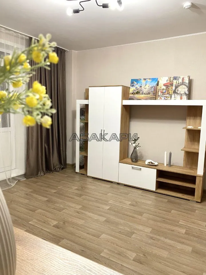 студия Дудинская улица, 2Д  за 40000 руб/мес фото 4