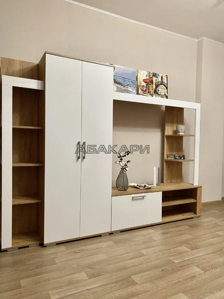 студия Дудинская улица, 2Д  за 40000 руб/мес фото 5