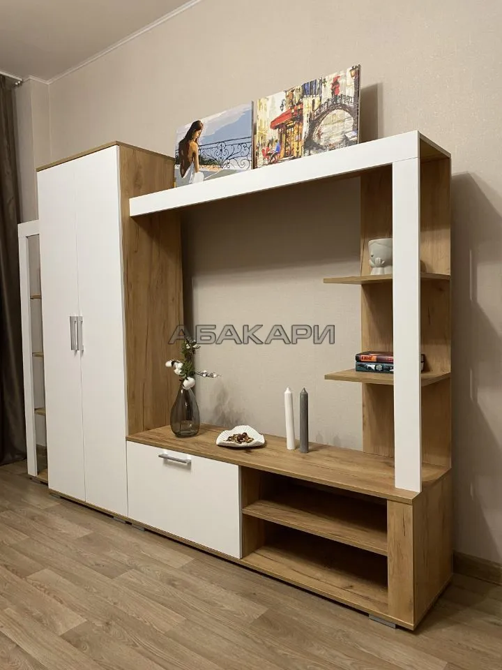 студия Дудинская улица, 2Д  за 40000 руб/мес фото 7