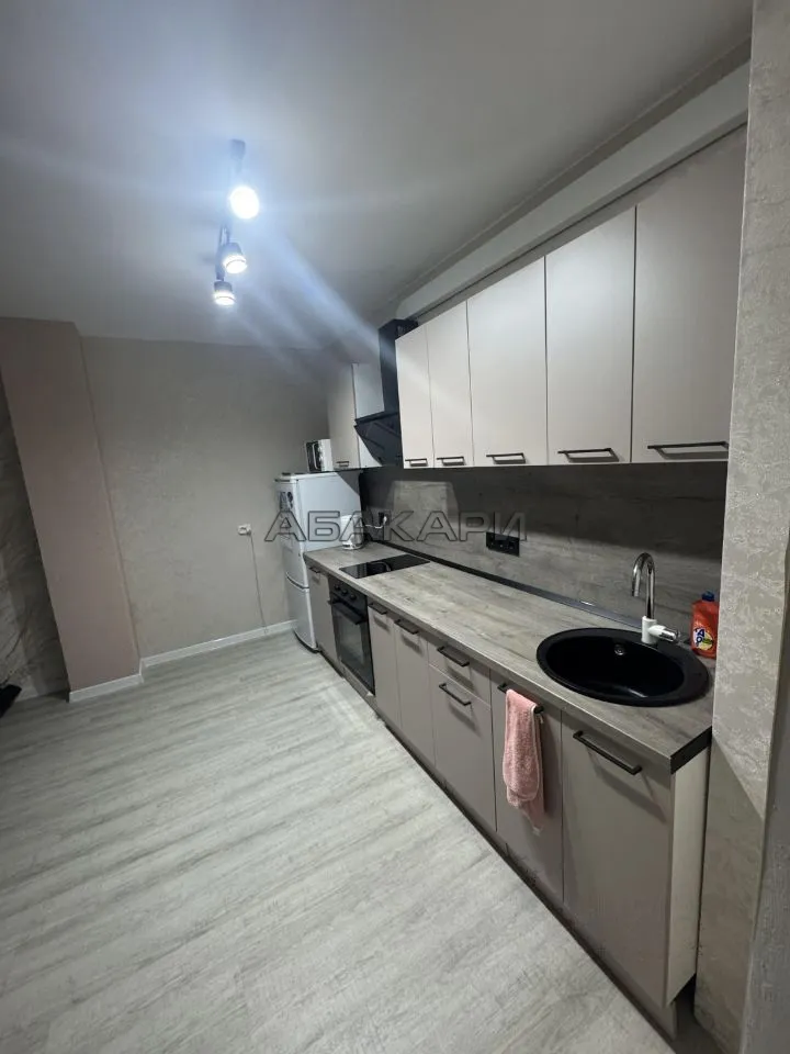 2-комнатная улица Вильского, 26  за 35000 руб/мес фото 3