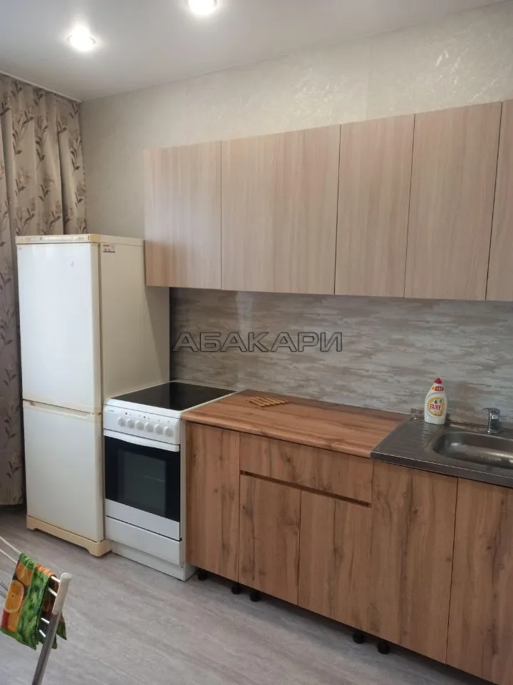 1-комнатная Светлогорский переулок, 2  за 35000 руб/мес фото 2