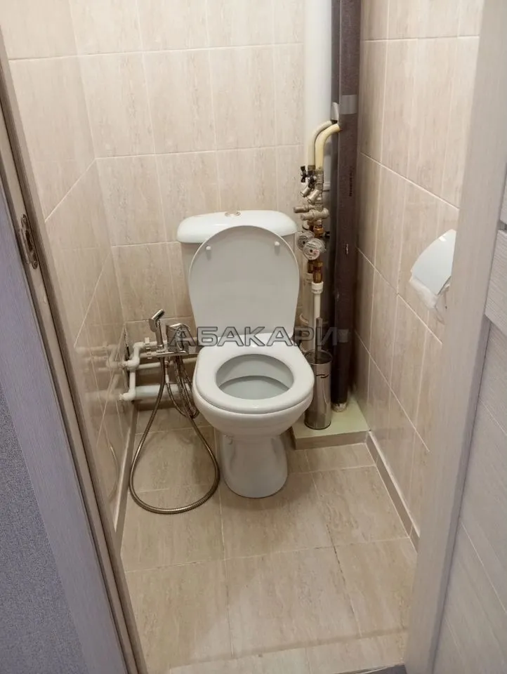 1-комнатная улица Дубровинского, 110А  за 37000 руб/мес фото 12