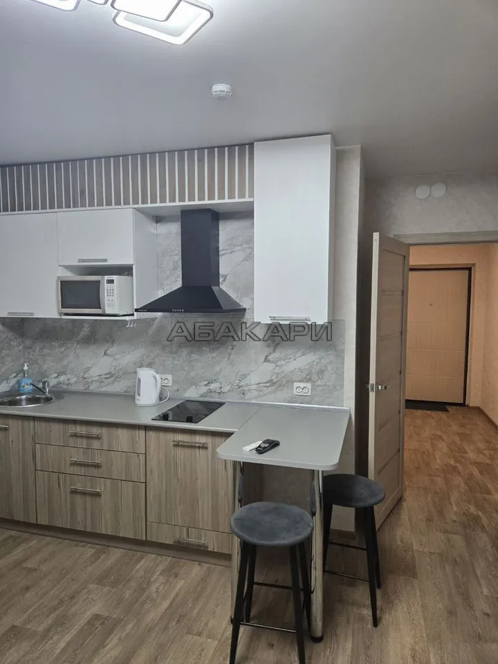 студия Дудинская улица, 2В  за 35000 руб/мес фото 3