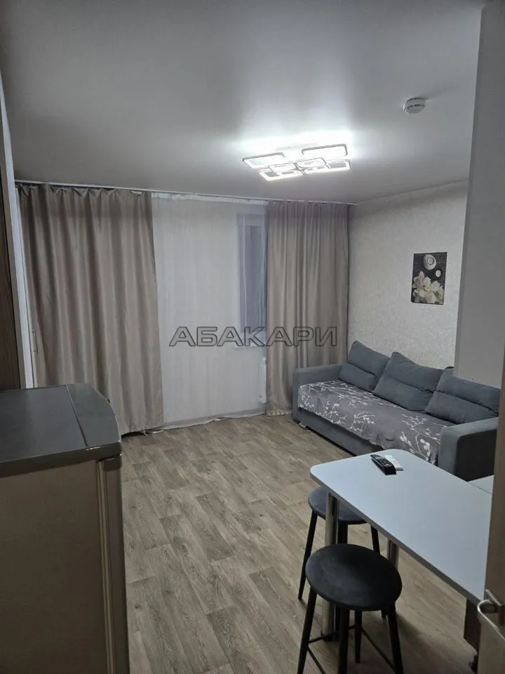студия Дудинская улица, 2В  за 35000 руб/мес фото 4