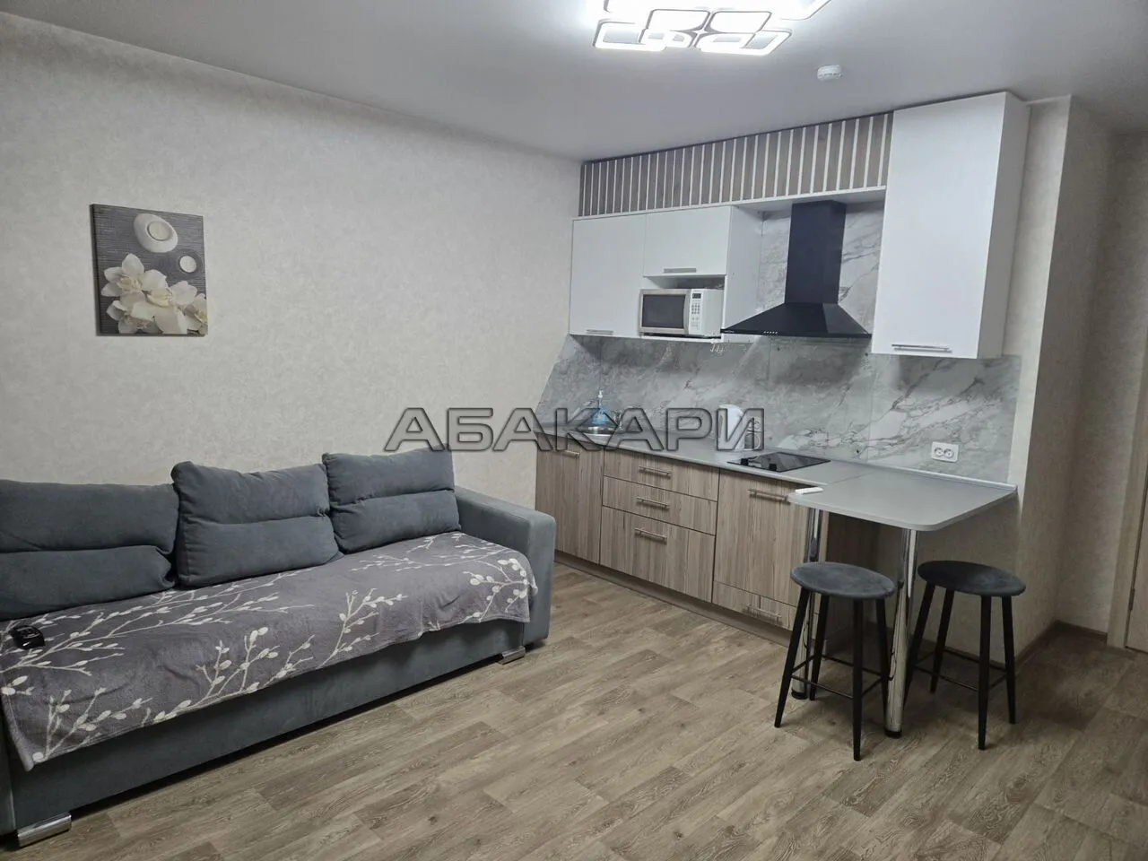 студия Дудинская улица, 2В  за 35000 руб/мес фото 5