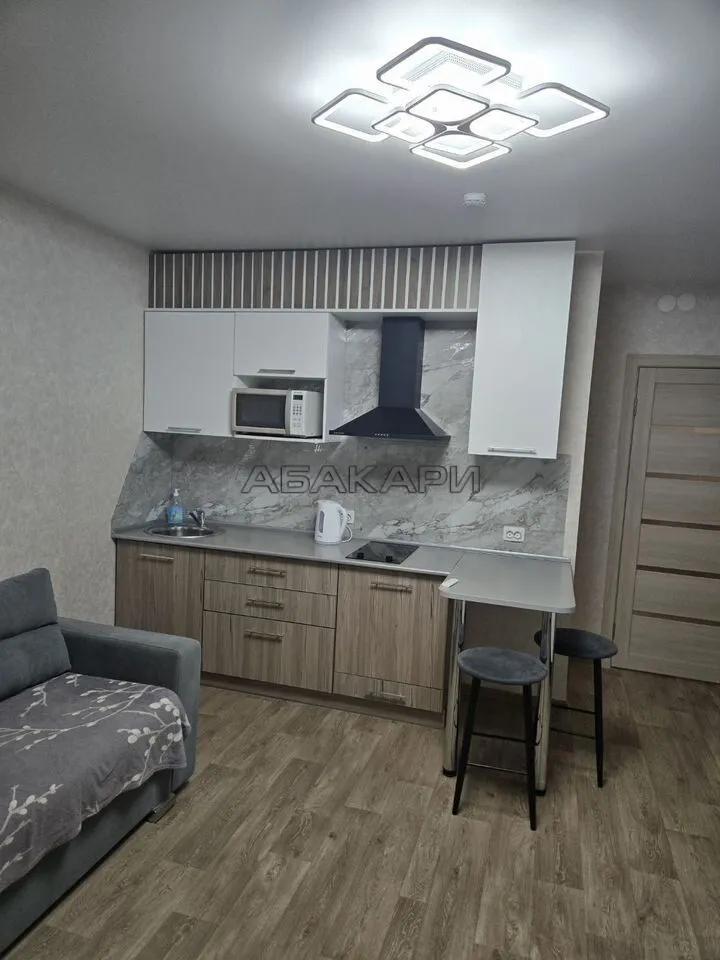 студия Дудинская улица, 2В  за 35000 руб/мес фото 7