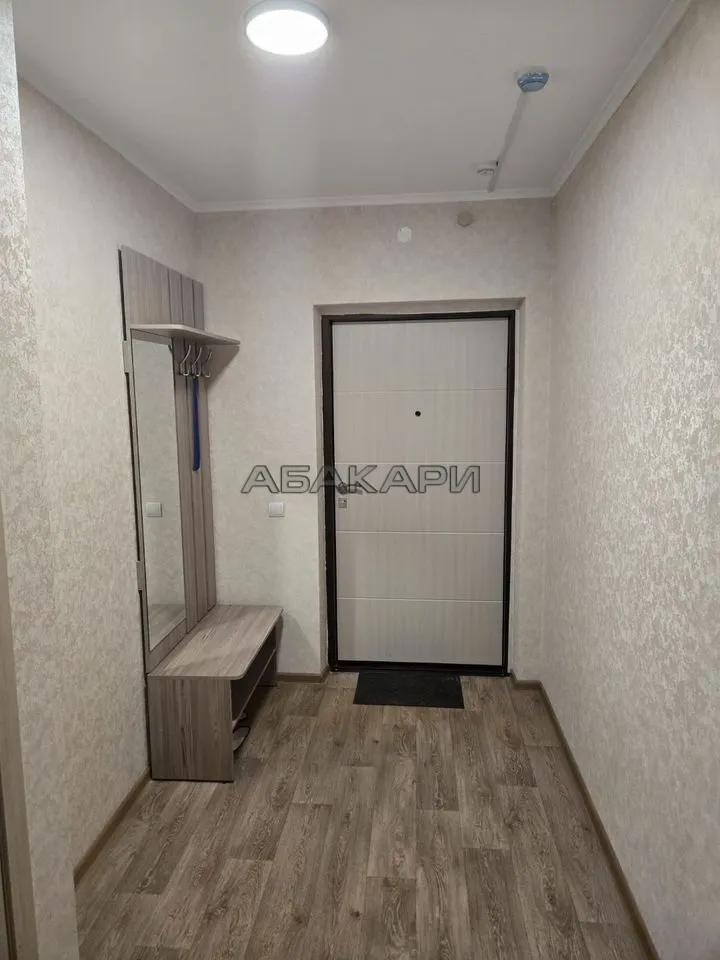 студия Дудинская улица, 2В  за 35000 руб/мес фото 9