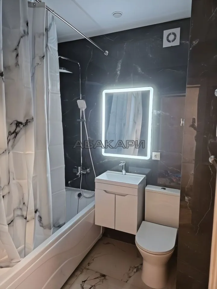 студия Дудинская улица, 2В  за 35000 руб/мес фото 11