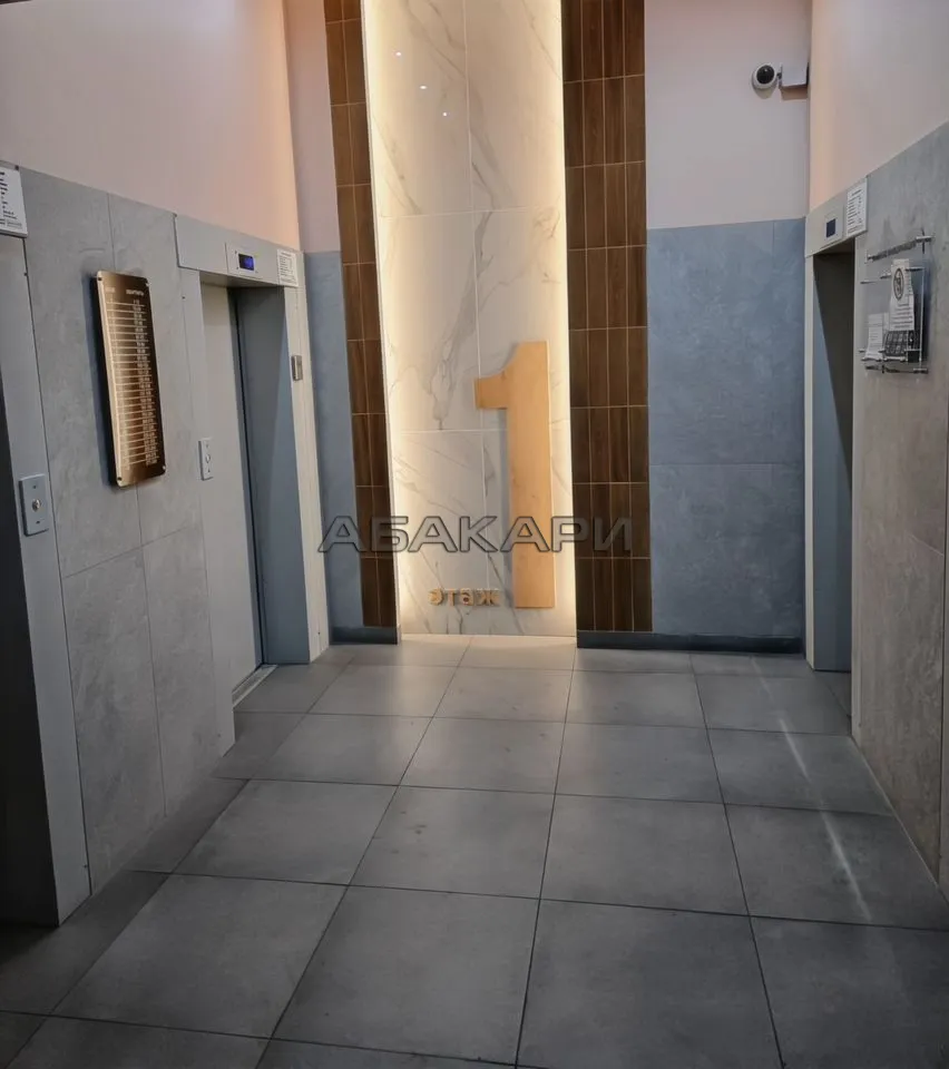 студия Дудинская улица, 2В  за 35000 руб/мес фото 17
