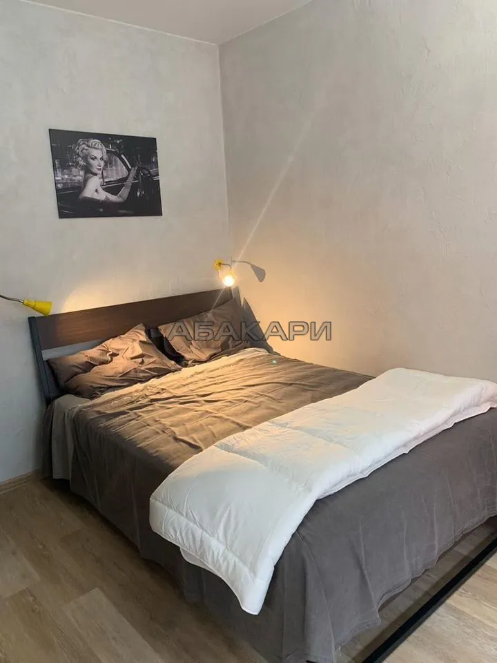 студия улица Алексеева, 46  за 40000 руб/мес фото 10