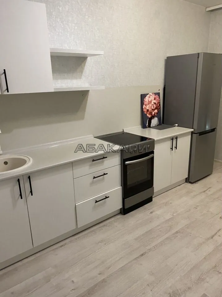 1-комнатная улица Партизана Железняка, 48К за 40000 руб/мес фото 3 1-комнатная улица Партизана Железняка, 48К за 40000 руб/мес фото 3