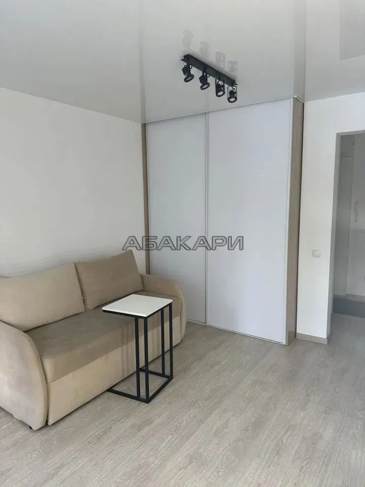 1-комнатная Светлогорский переулок, 10Б  за 35000 руб/мес фото 3