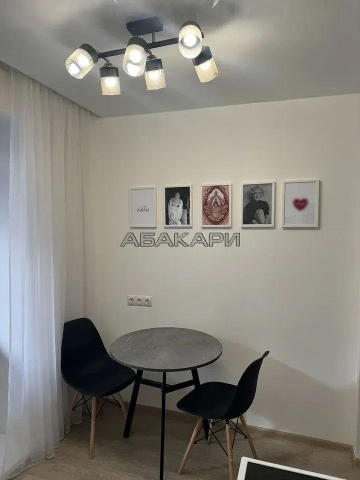 1-комнатная Светлогорский переулок, 10Б  за 35000 руб/мес фото 5