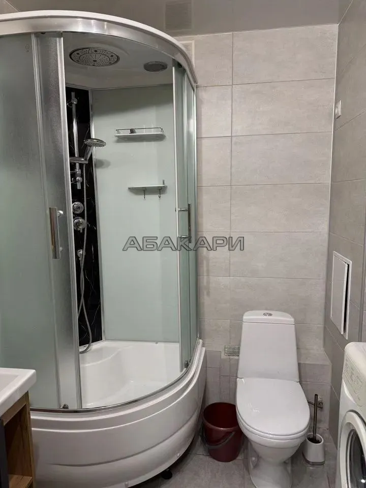 1-комнатная Светлогорский переулок, 10Б  за 35000 руб/мес фото 7