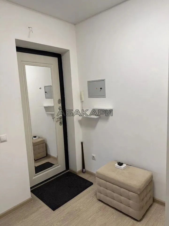 1-комнатная Светлогорский переулок, 10Б  за 35000 руб/мес фото 8