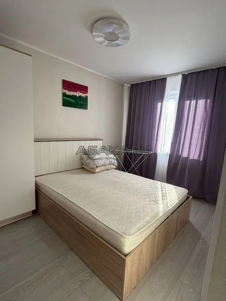 2-комнатная улица Чернышевского, 122  за 45000 руб/мес фото 6