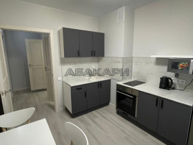 аренда Дубровинского, 110Б 1-комнатная 43000